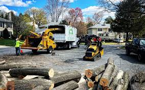 Best Firewood Processing and Delivery  in New Port Richey, FL